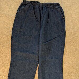 Chic Blue Jeans, Size 12P, Inseam 26
